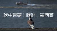 软中带硬	
�！欧洲、墨西哥回应特朗普关税威胁