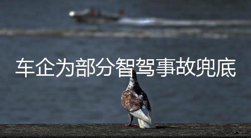 事故发生时是否使用了智驾