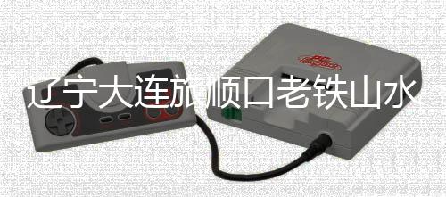 口老截至12月4日10时10分
