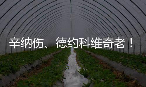 辛纳上一轮逆转德米纳尔之后
