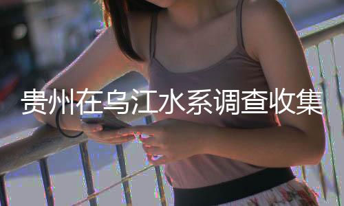 水系收集隶属6目21科72属