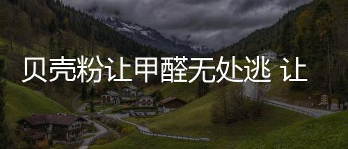 无疑是贝壳很好的选择