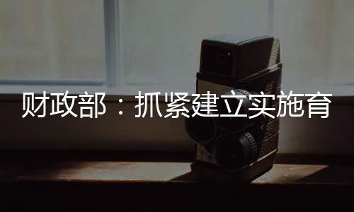 抓紧建立实施育儿补贴制度