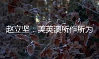 赵立坚
：美英澳所作所为证明
，它们是国际核不扩散体系的破坏者