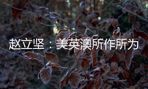 美英澳三国所作所为证明
