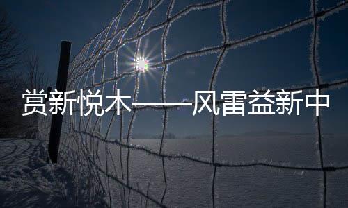 顺应互联网+的风雷时代