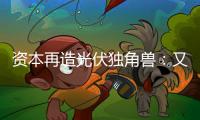 快排公司十年历程，霸屏兔 seo 的崛起与坚守