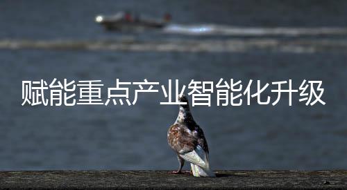 专为边缘侧高性能AI任务设计