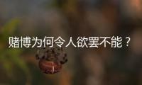 赌博为何令人欲罢不能？