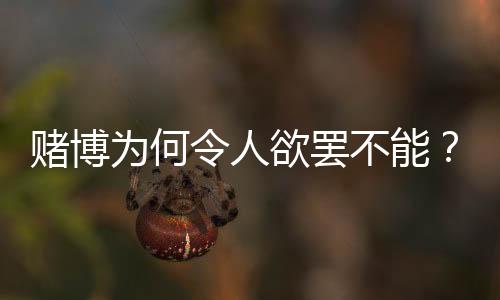 很多人都曾参与过赌博