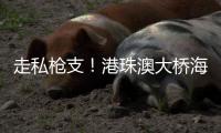 走私枪支！港珠澳大桥海关，查了！