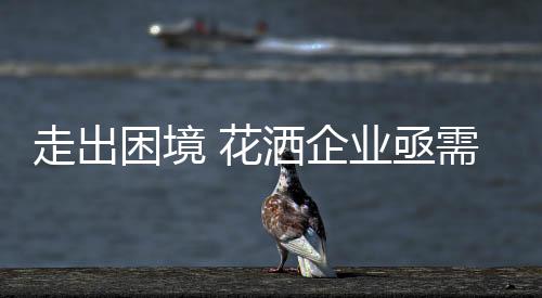 似乎又引发了模仿与关注