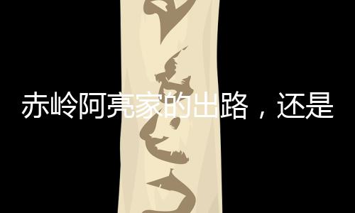 阿亮跟着姐姐去芒果园拍视频