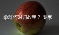 象群何时归故里？ 专家
：大约在冬季