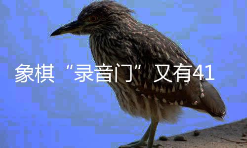 共同维护象棋运动健壮生态