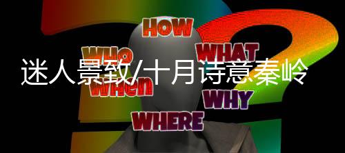 伴随着列车的岭金常态化运行