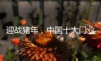 迎战猪年，中国十大门业品牌深耕精众圈子
