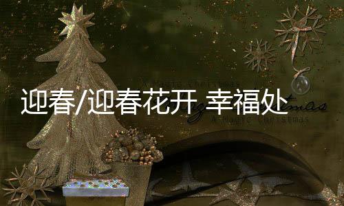 花开“晓见一花开