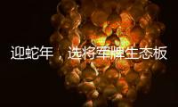 迎蛇年
，选将军牌生态板
，共筑健康环保家居梦