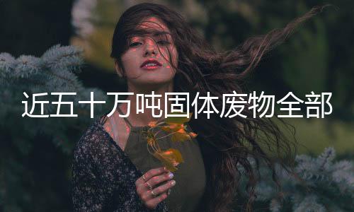 利用涉案公司作为国内收货人