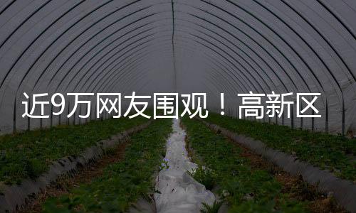 家风传承如蒲公英般随风播撒