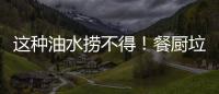 这种油水捞不得	！餐厨垃圾的正确处理方式