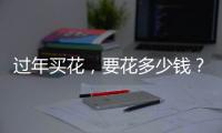 过年买花，要花多少钱？｜春节账单③