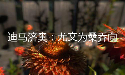 桑乔都有可能加盟尤文