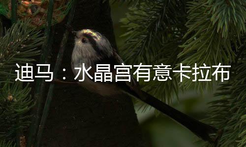 根据记者迪马济奥的内加报道