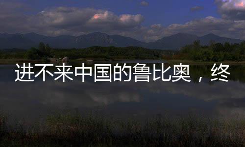 医疗器械出口全线逆势上涨