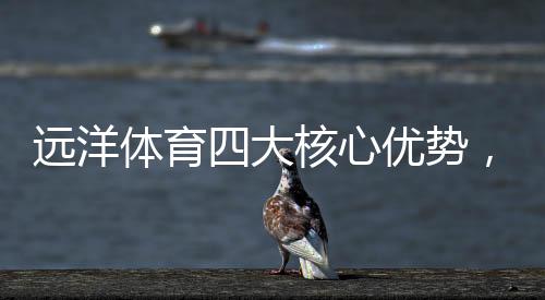 共赴售后服务一体化模式