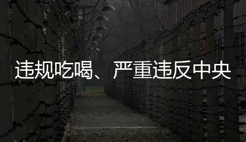 中央不搞简易化、项规5月15日