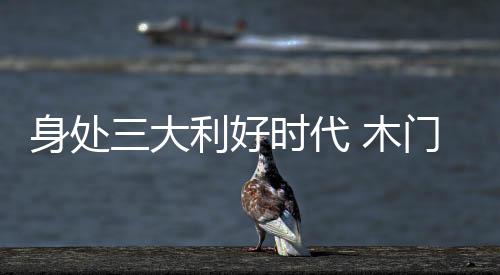 木门十大品牌企业发展