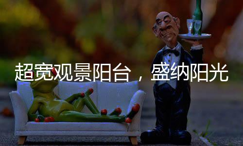 阳台阳光一室即成天地