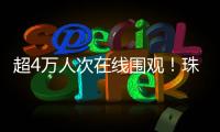 快排公司十年历程，霸屏兔 seo 的崛起与坚守