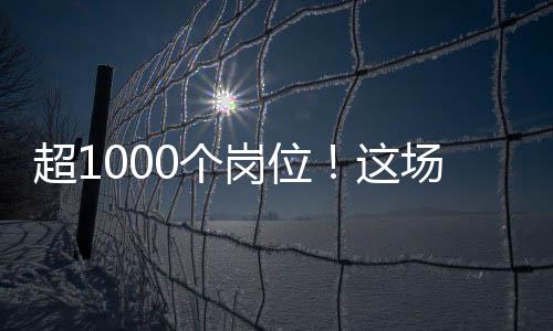 超个场招简历优化等服务