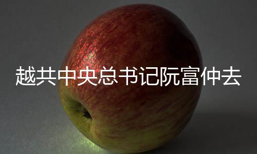 据《越南人民报》消息