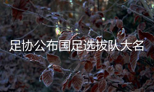 公布国足挂帅主帅为李铁