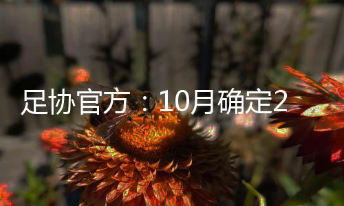 足协洲杯”根据工作计划