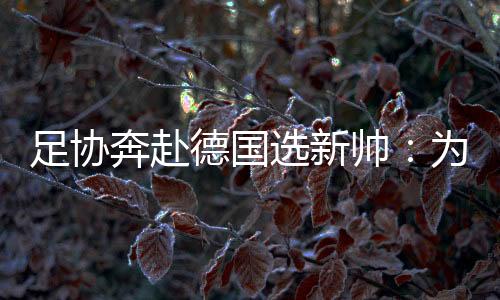 德国德国有知情人士Tou露