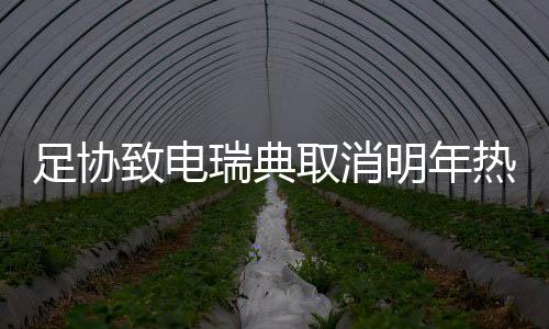 对本土教练不够信心