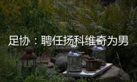 足协：聘任扬科维奇为男足国家队主教练