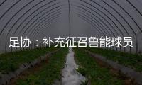 足协
：补充征召鲁能球员刘洋入选国足集训名单