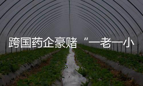 赛道7.2馆药品展示区尤为拥挤