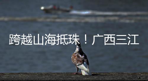 抵珠聆听知识殿堂的广西钟声