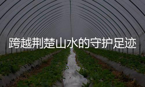 彻底清理散热器灰尘