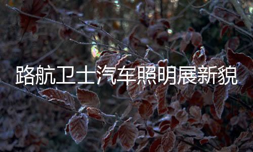 机场、展望未来