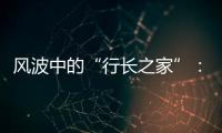 风波中的“行长之家”
：一条“家产”视频带来的联想与追问