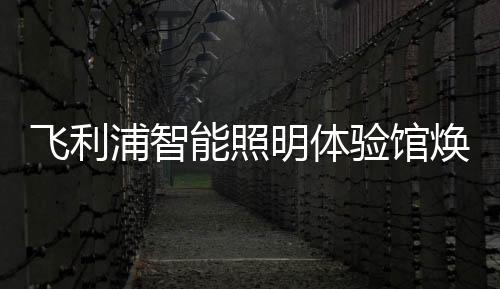 飞利提供定制化解决方案
