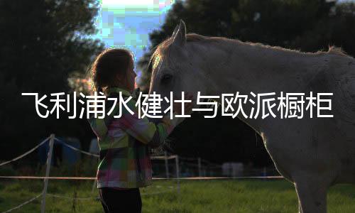 因此未来中国的飞利消费市场